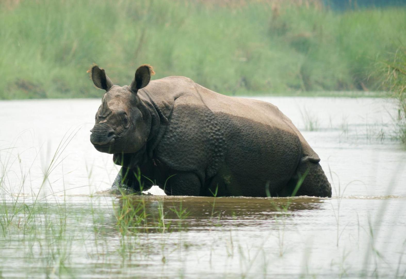 מלון Bardiya Family House - Bardia National Park מראה חיצוני תמונה